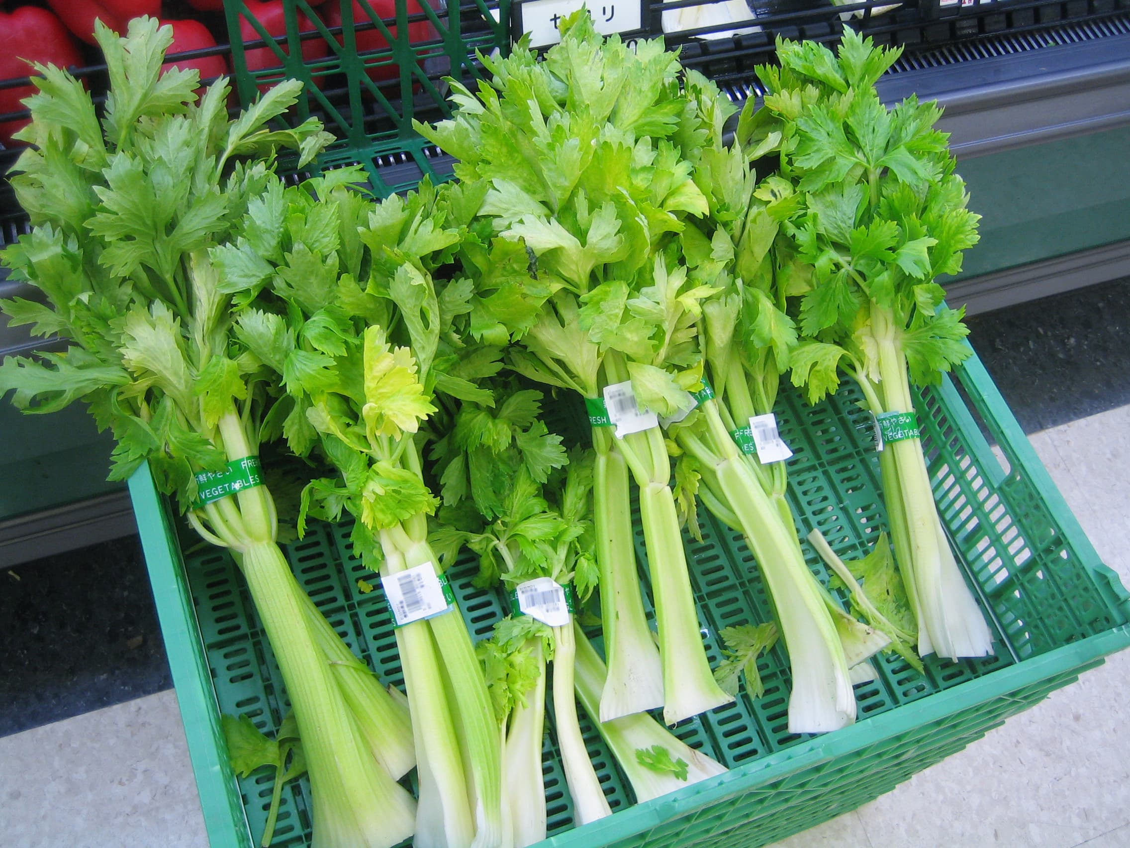 Celery stalks