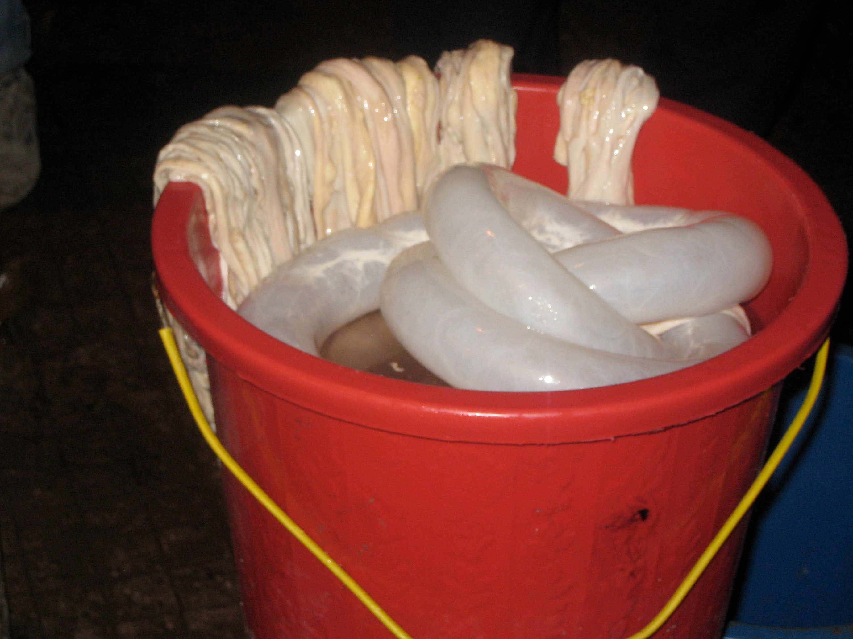 sausage casing