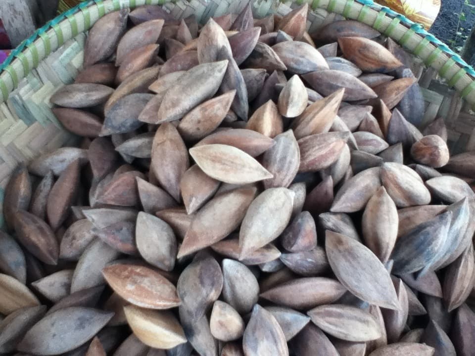 pili nut
