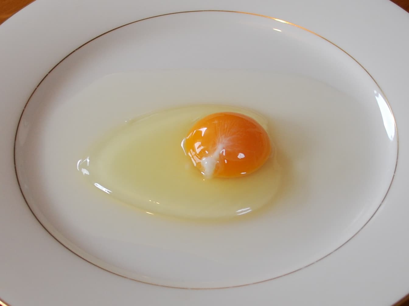 egg white