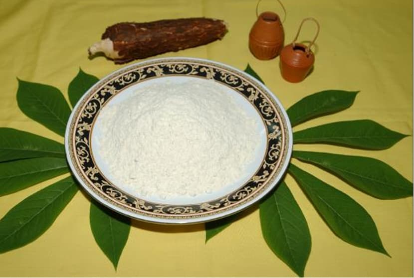 Tapioca