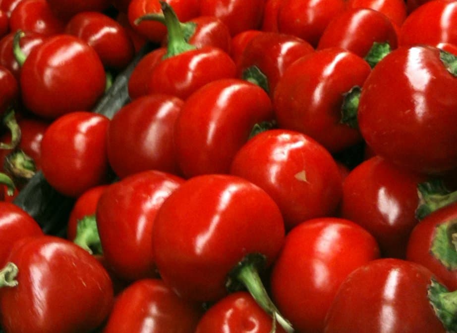 Pimiento