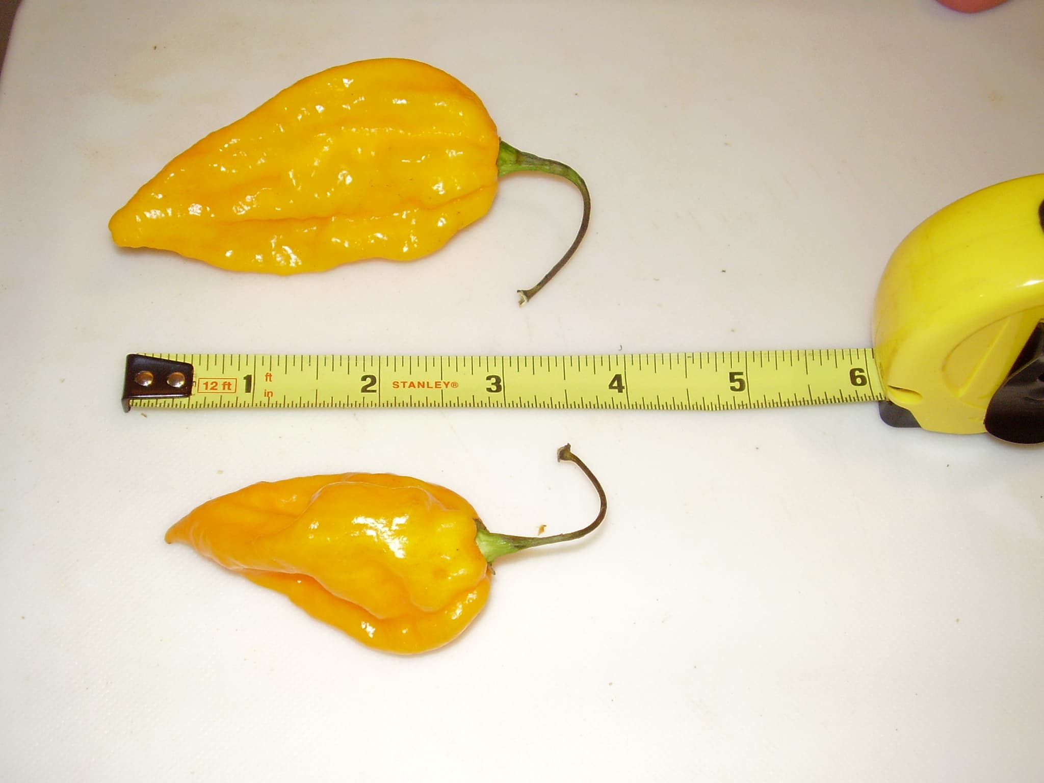 Fatalii