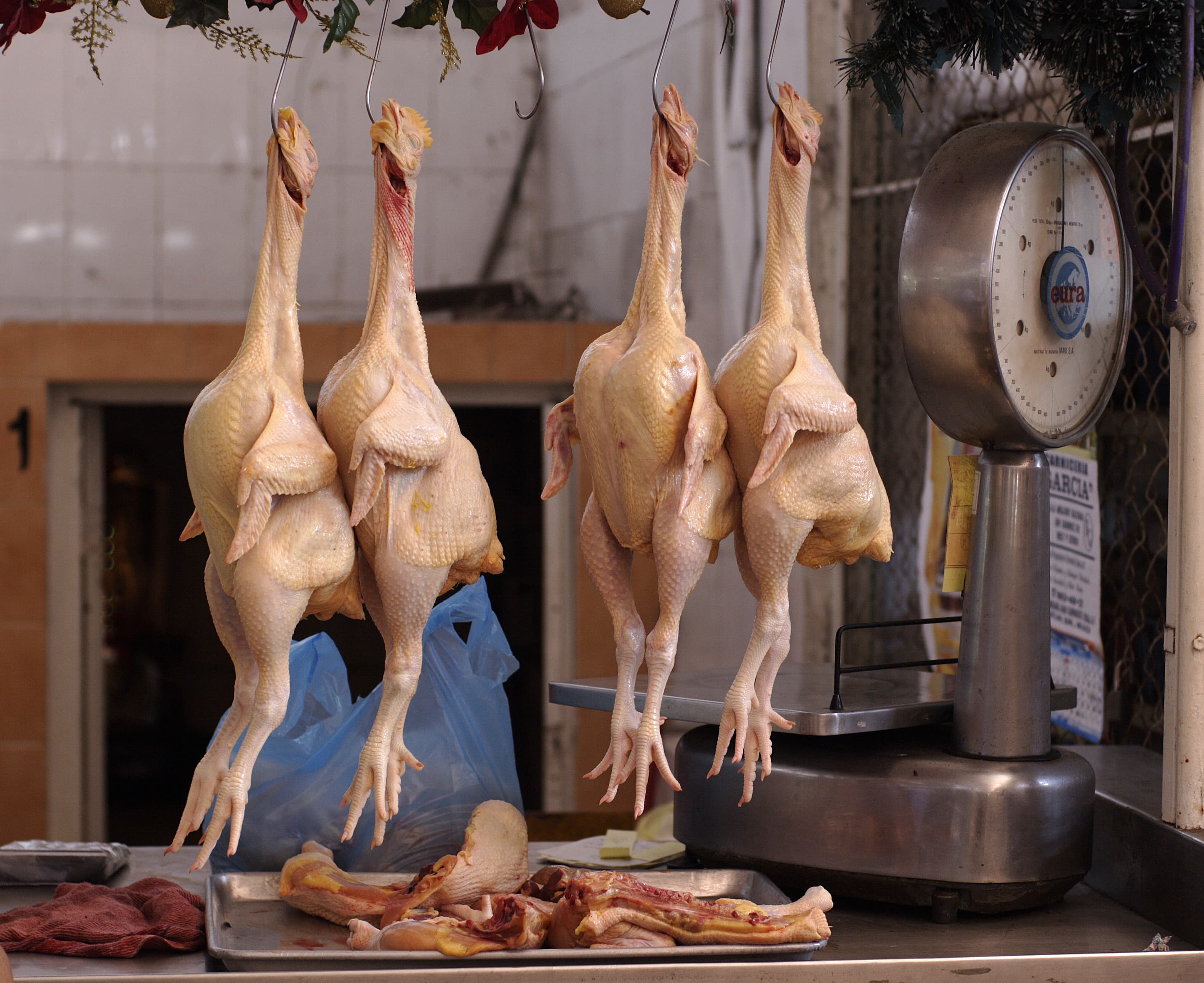 Chicken breast, fat-free, mesquite flavor, sliced