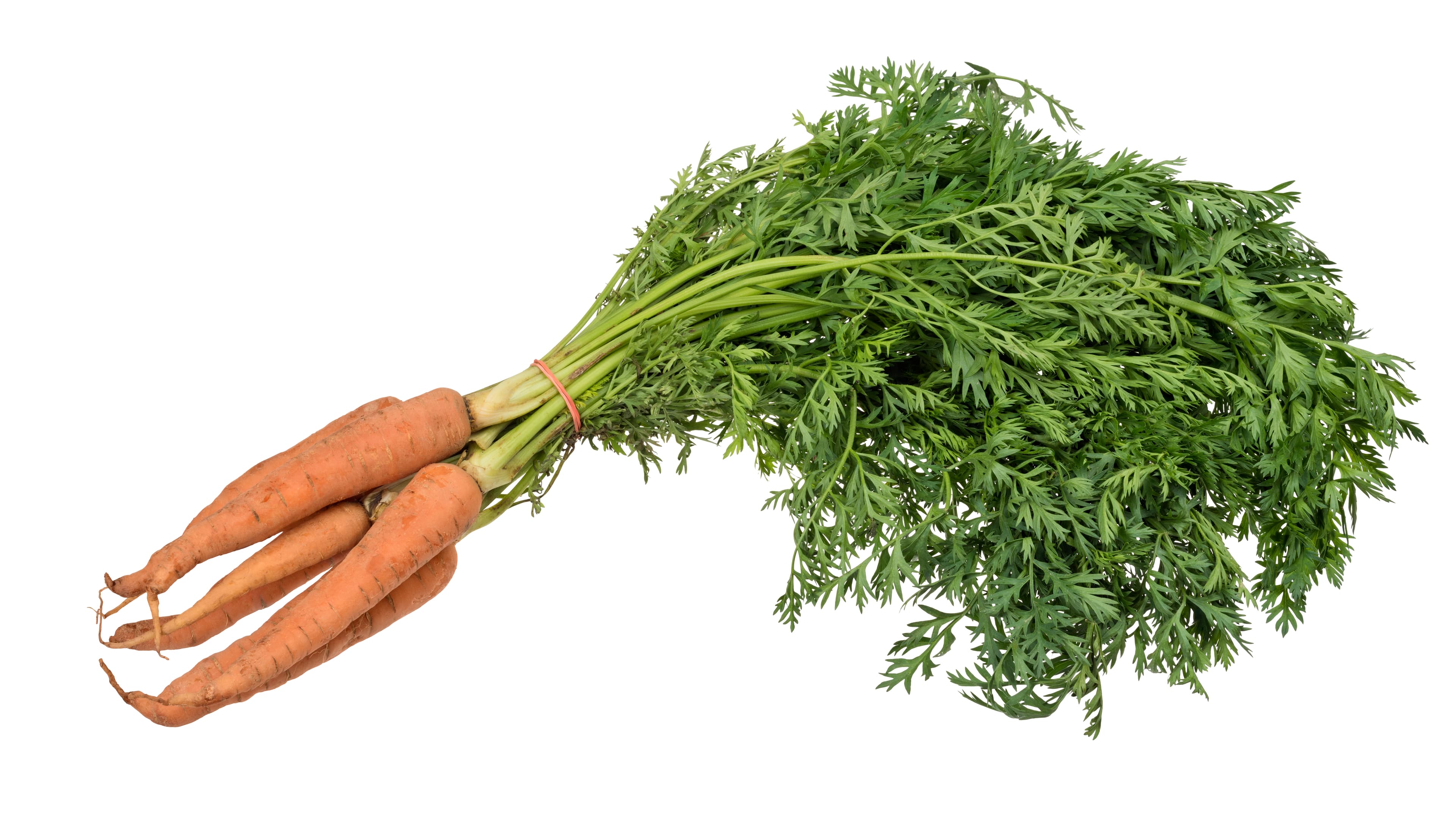 Carrots