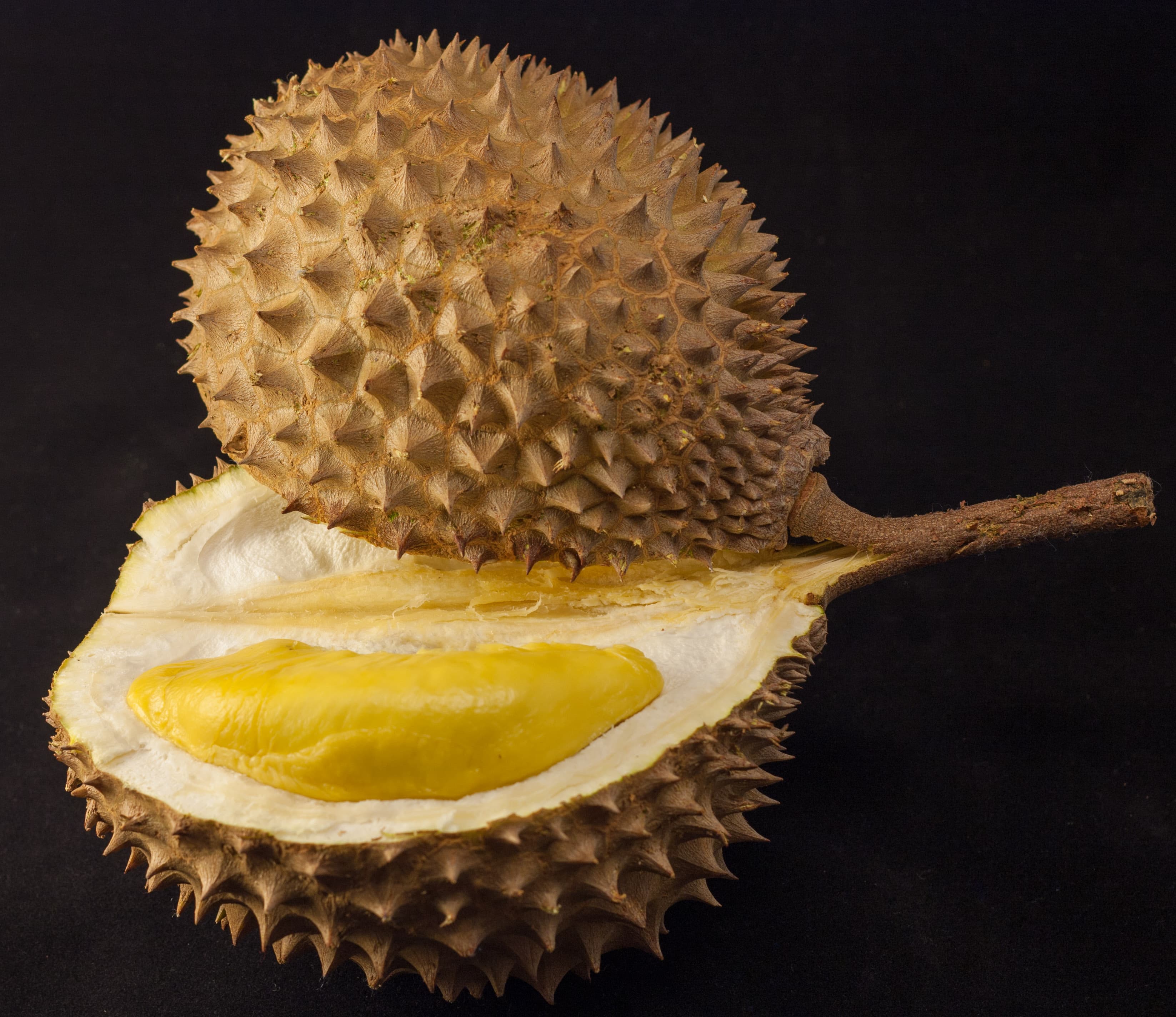 Durian, raw or frozen