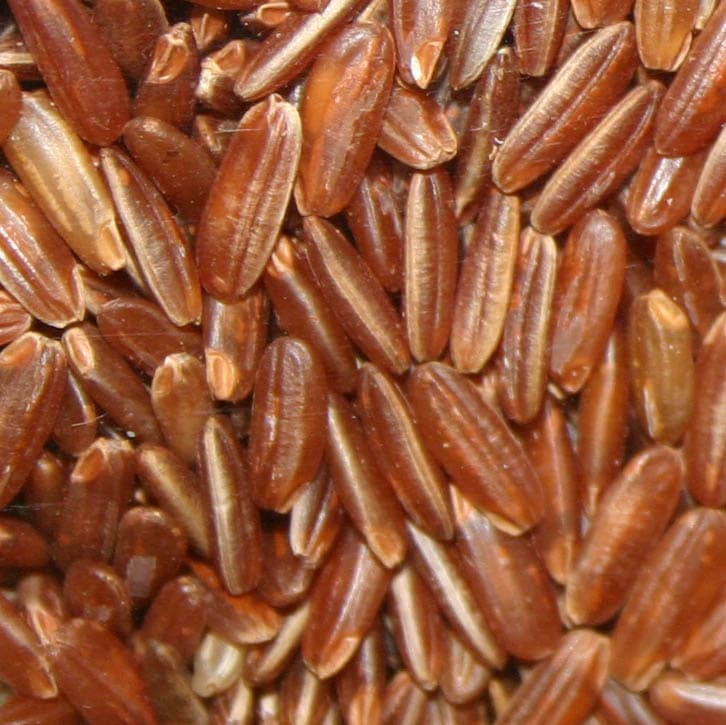 brown rice kernel