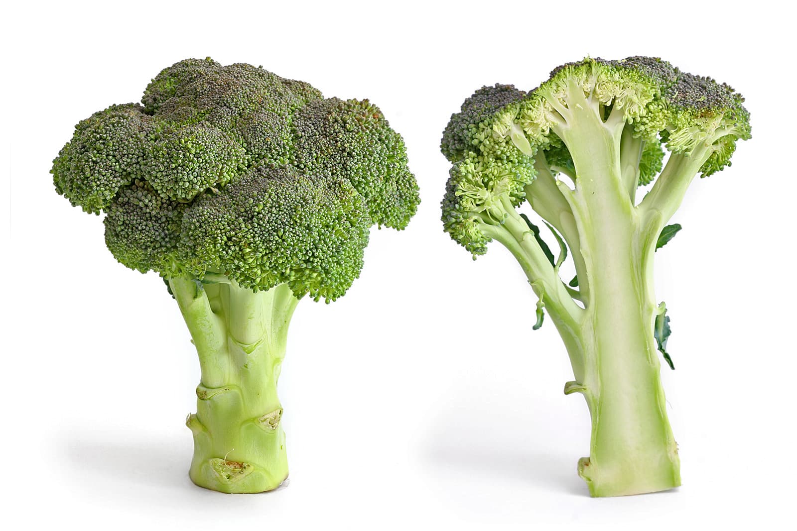 broccoli floret