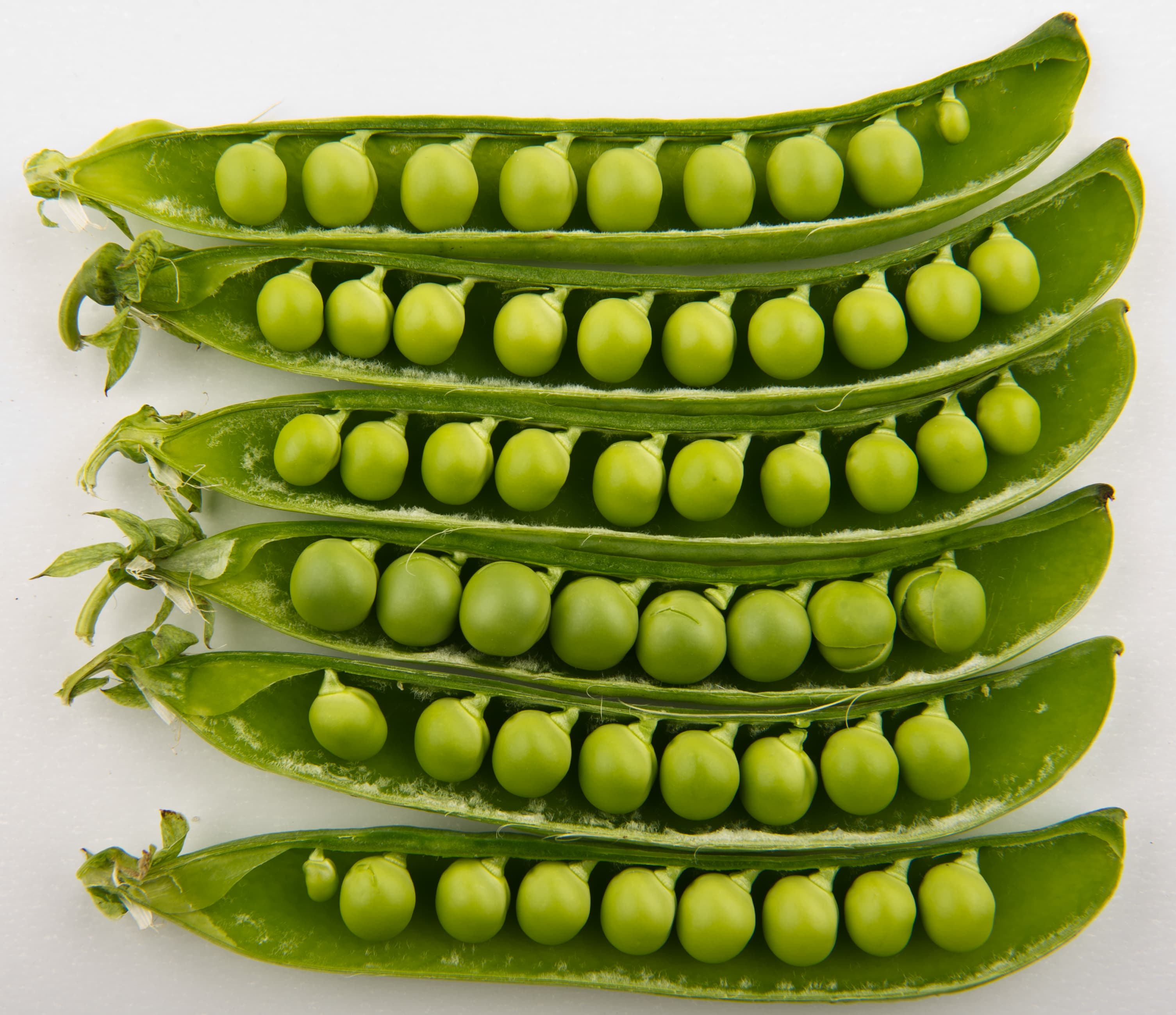 Peas, mature seeds, sprouted, boiled, drained