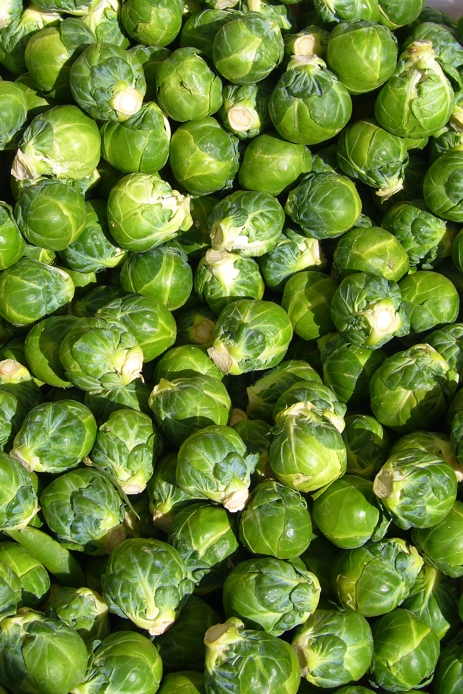 brussels sprouts