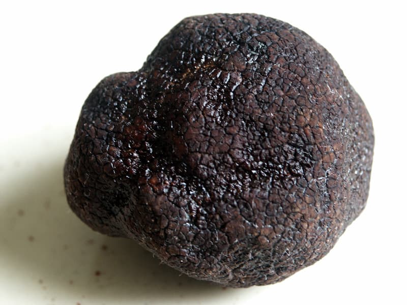 White Truffle