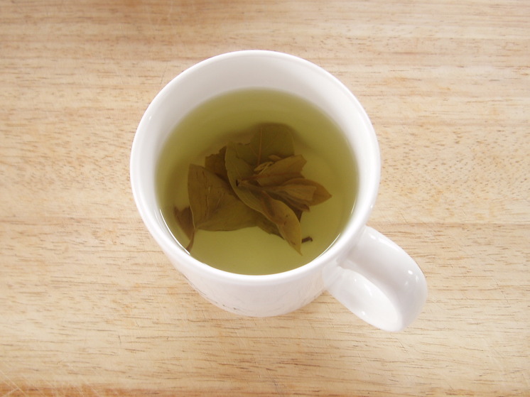 persimmon leaf tea