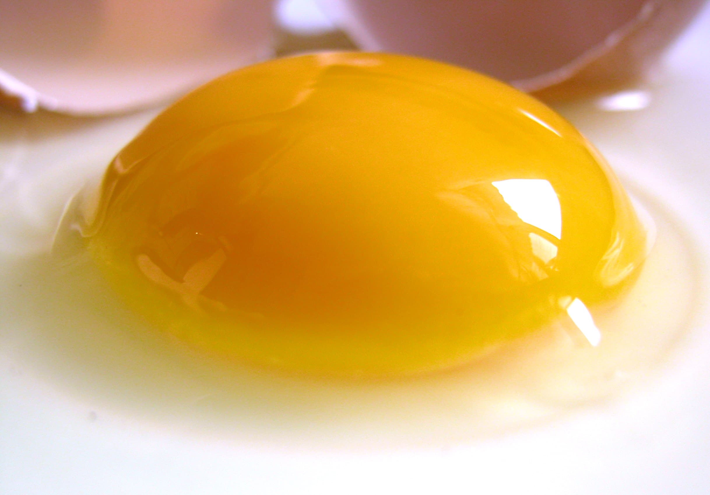 hen egg yolk (frozen)
