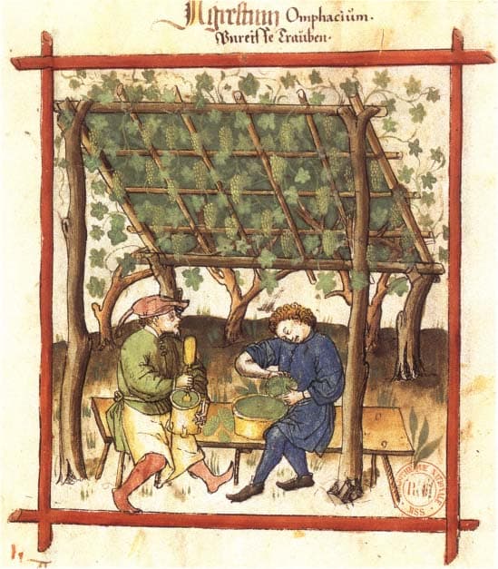 Verjuice