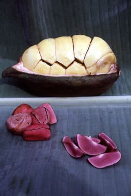Kola nut