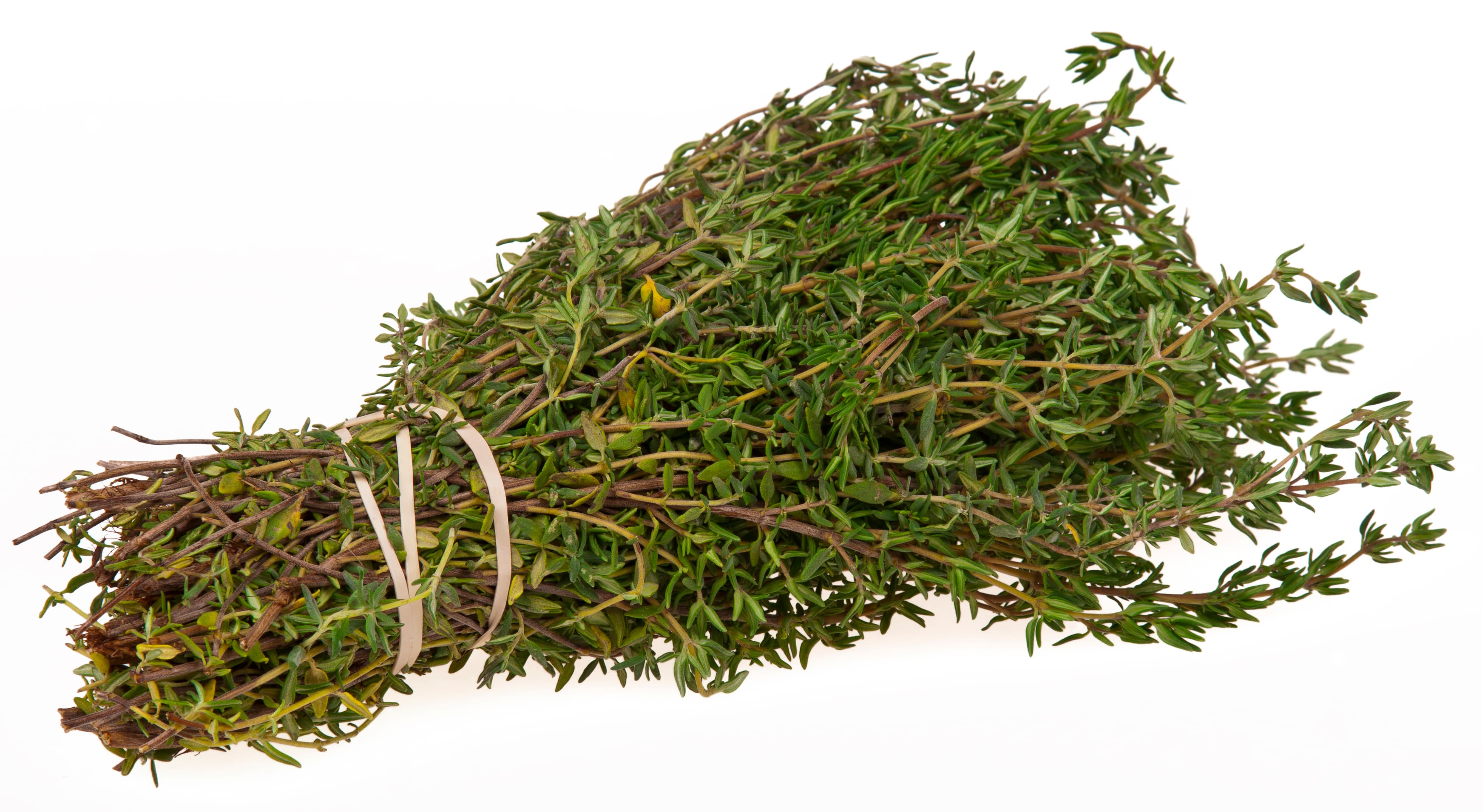 Thyme, fresh