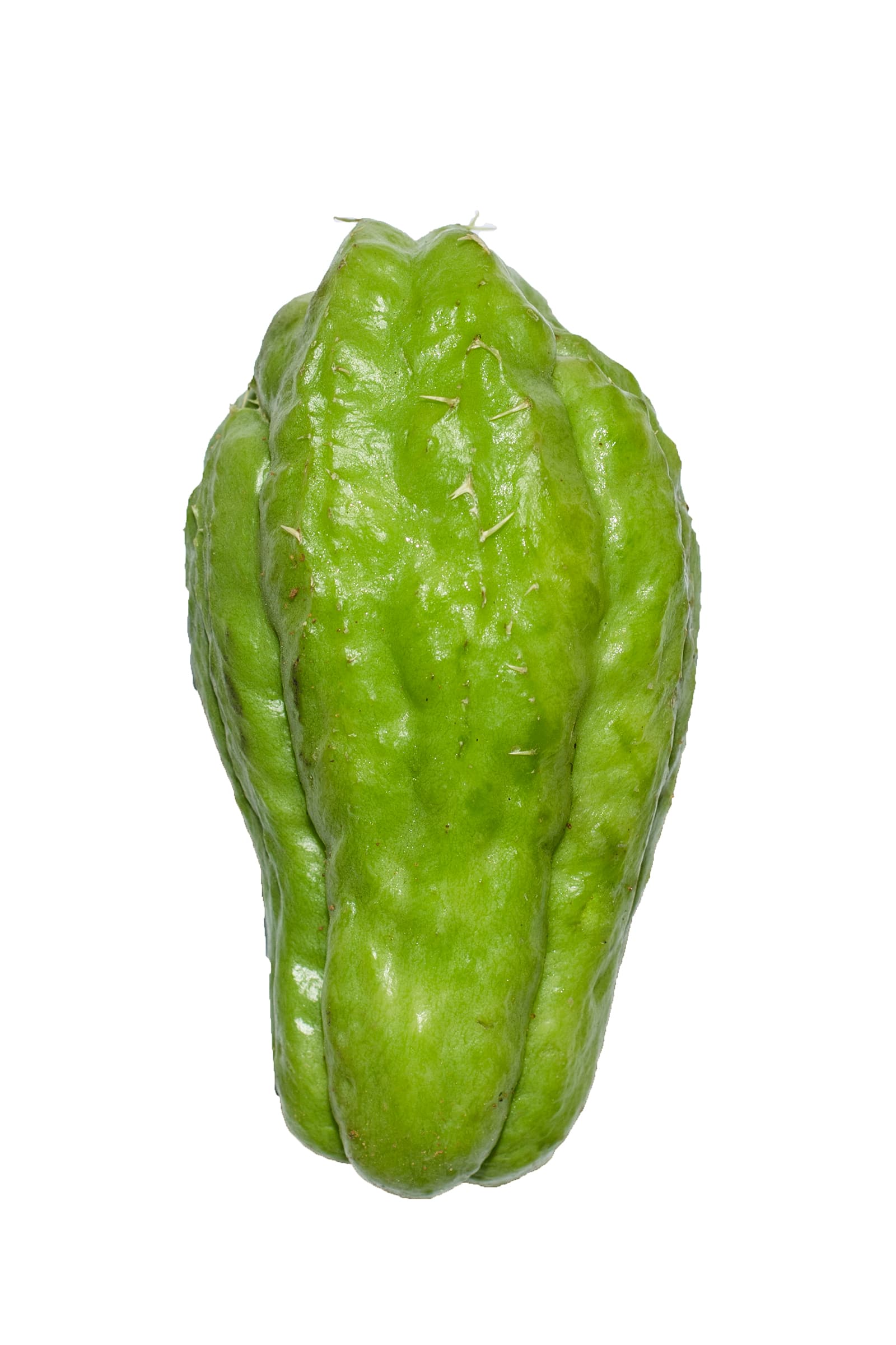 Chayote, fruit, cooked, boiled, drained, with salt