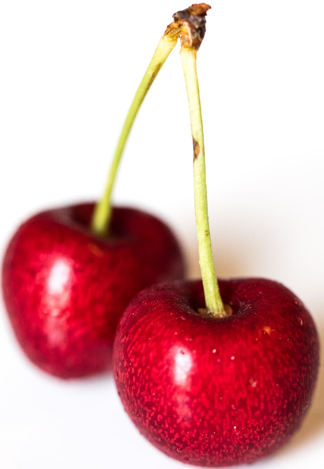 Cherry, sour, red, canned, extra heavy syrup pack, solids and liquid