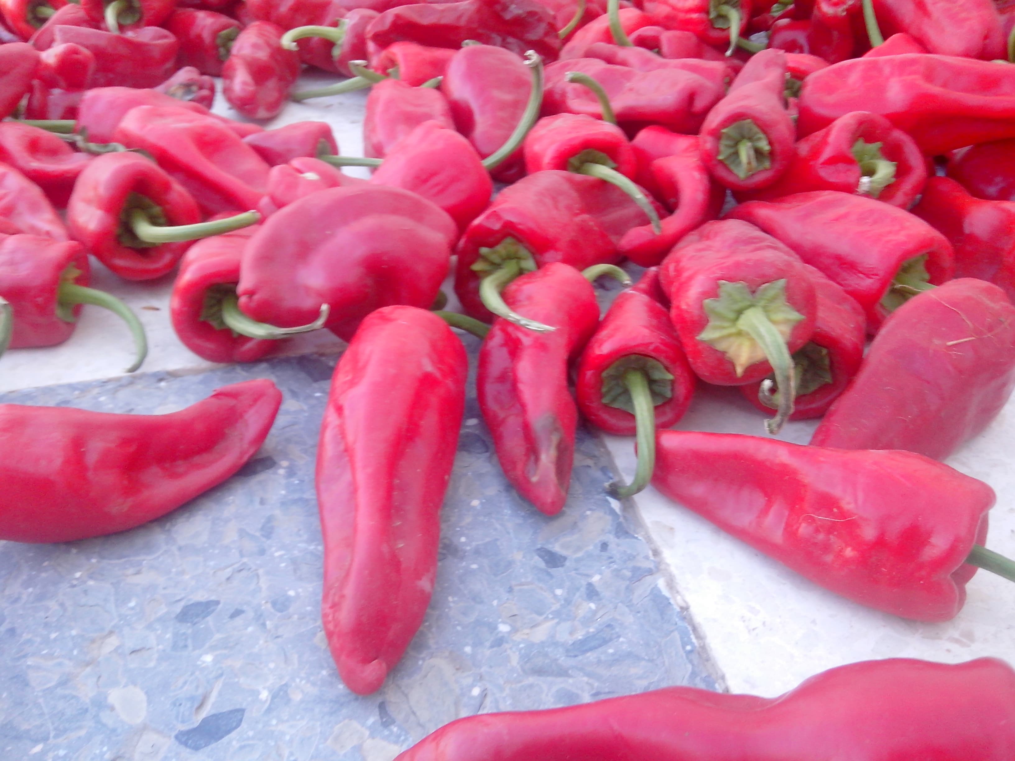 Baklouti pepper
