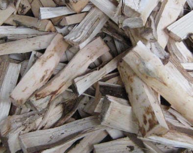 agarwood