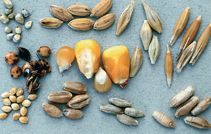 Cereals ready-to-eat, OAT BRAN FLAKES, HEALTH VALLEY